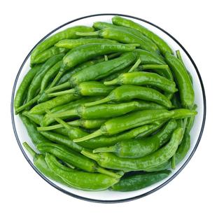 正宗樟树港富硒辣椒新鲜现摘虎皮纯手工自制卜辣椒农家白辣椒湘菜