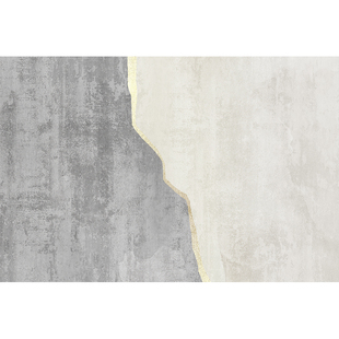 轻奢进门地毯入户门地垫高端门垫家用卧室玄关客厅门口脚垫可裁剪