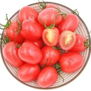 正宗四川攀枝花新鲜玲珑小番茄圣女果千禧果现摘现发当季自然成熟