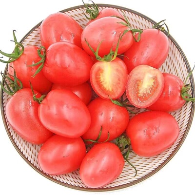 正宗四川攀枝花新鲜玲珑小番茄圣女果千禧果现摘现发当季自然成熟