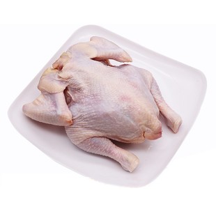 西装鸡20只童子鸡商用炸鸡脆皮去头烤鸡全鸡冷冻西装鸡23只白条鸡