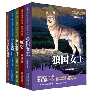 当当网正版童书 沈石溪动物小说全集感悟生命书系 全套8册狼国女王五彩龙鸟雪域豹影红豺7-12-15岁儿童文学中小学生狼王梦