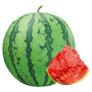 特大甜王西瓜种子苗盆栽南方秧四季嫁接种籽孑子秧苗西爪大西瓜