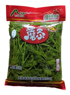 绿茵山野菜木嫩芽木嫩芽木兰芽