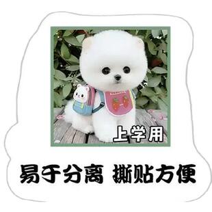 2000贴茶杯犬表情包卷卷贴创意搞笑沙雕抽象恶搞猎奇手账笔记贴画