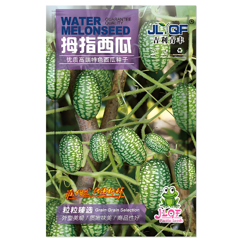 拇指西瓜种子迷你小西瓜