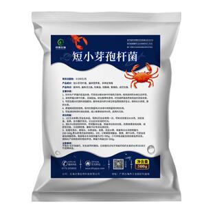 1000亿/克短小芽孢杆菌低温处理芽孢杆菌菌株强调节分解水体底质