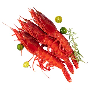 红魔虾鲜活大号刺身级红虾冷冻大虾新鲜海虾生吃非莫桑比克西班牙