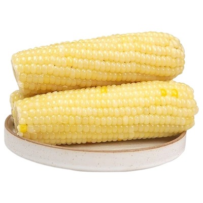 非转基因白糯玉米常温避光保存