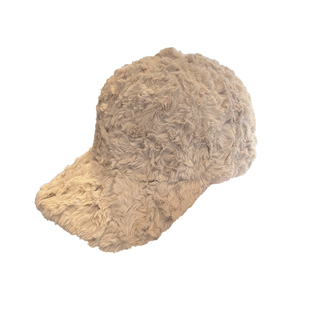 毛绒棒球帽女秋冬季韩版显脸小保暖羊羔毛鸭舌帽百搭休闲硬顶帽子