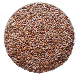 甘肃特产亚麻籽会宁山区旱地种植胡麻可榨油农家自产新货胡麻籽