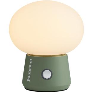 德国柏曼充电触摸台灯 卧室床头客厅现代简约露营户外防水led灯具