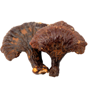 汇吉工坊松杉灵芝长白山整枝木灵芝红赤芝林芝250g买3送1