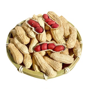 四粒红带壳红皮花生5斤农家新货晒干花生红衣小粒生花生米瘪种子