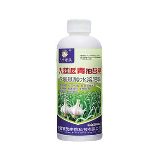八个老头正品大蒜返青抽苔肥大蒜苔粗专用增产早熟专用叶面肥料