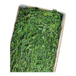 25年新苜蓿草兔子粮草苜蓿草食用草兔粮龙猫粮草干草荷兰猪苜宿草