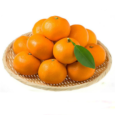 皮薄汁甜无核临海涌泉蜜桔10斤装