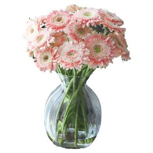 弗朗花非洲菊鲜花云南基地直发奶油饼干鲜切花家用插花水培扶郎花