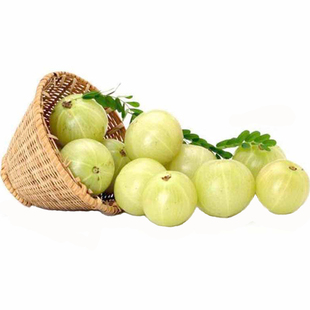 5斤装包邮 新鲜油甘果牛甘果余甘子油柑子果滇橄榄果油甘子现摘