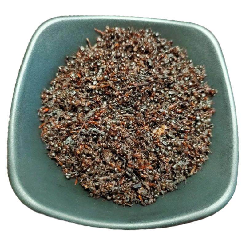 长白山红蚂蚁一袋250克10袋包邮