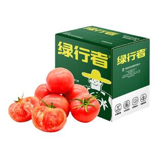 【绿行者】粉番茄新鲜西红柿自然成熟生吃水果沙瓤柿子老味道新鲜