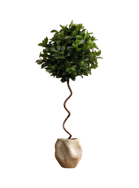仿真棒棒糖球型装饰树假绿植盆栽