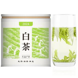2025新茶宋品白茶安吉明前特级绿茶高山核心产区春茶品鉴装25克
