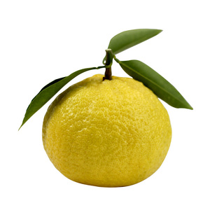 湖南怀化黄金贡柚新鲜水果现摘现发象山青桔柚洪江安江纯甜橘柚子