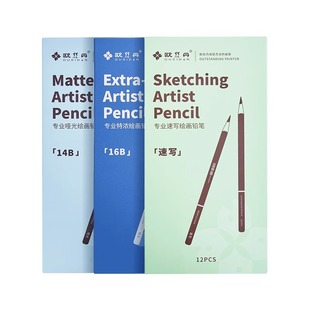 欧丝丹炭笔美术生专用软中硬特软素描绘画专业速写笔欧斯丹碳笔14b16b铅笔画画工具学生艺考集训软炭中炭硬炭