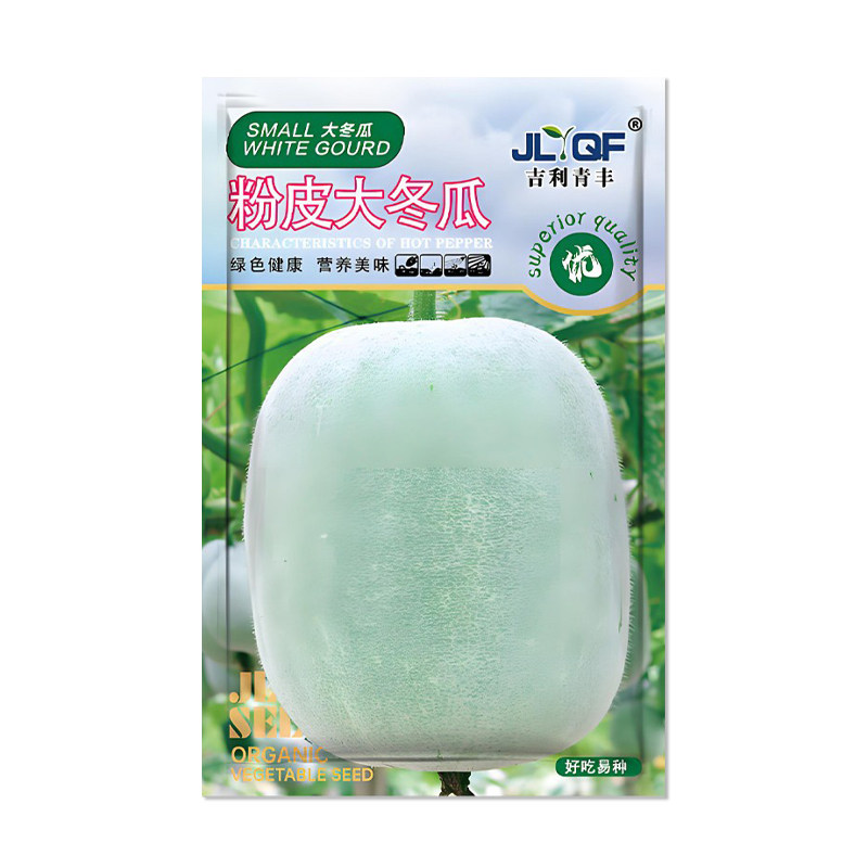 吉利青丰粉皮大冬瓜种子