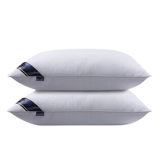 枕头不塌陷枕芯高护颈椎枕助睡眠一对装单人家用酒店专用宿舍学生