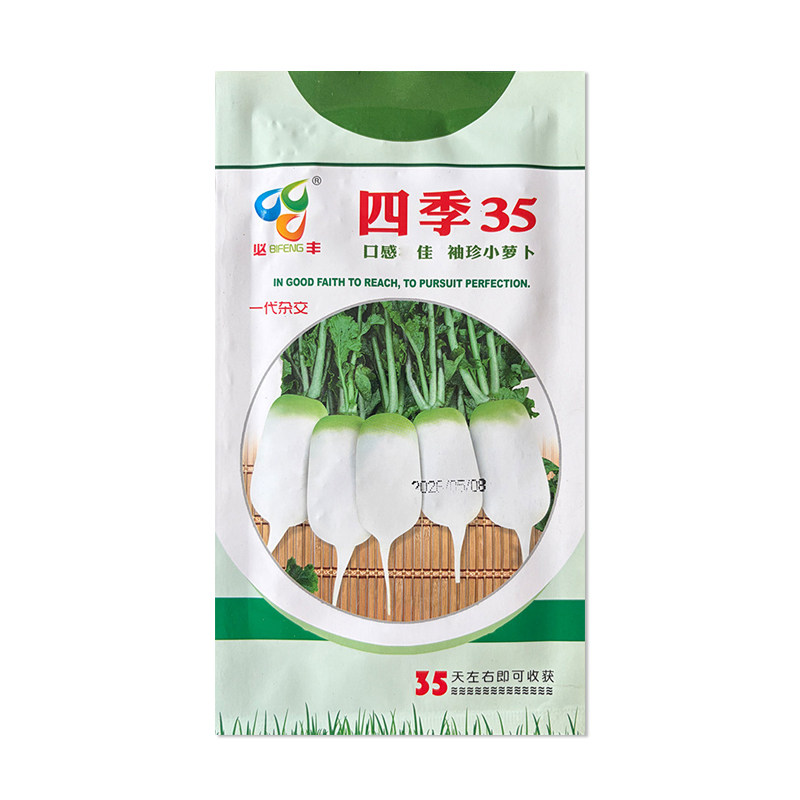 必丰四季35萝卜种子四季种
