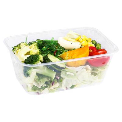 长方形塑料加厚带盖一次性餐盒