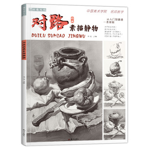 对路素描静物  基础入门对画临摹范本单体组合结构照片美院经典顶配考级美术绘画画册高考联考全集一本通教程教学教材书籍