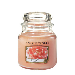 送点火器杨洋扬基yankeecandle香薰蜡烛411g优典中瓶薰衣草节日礼