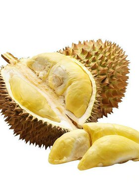泰国金枕榴莲新鲜采摘果肉充盈老树种植整个批发应季鲜果批发