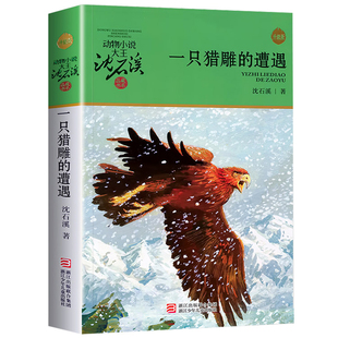 一只猎雕的遭遇 沈石溪动物小说品藏书系单本升级版7-8-10- 12-15岁中小学生必读课外阅读书籍读物经典儿童文学故事新华正版