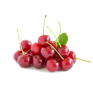 天狼樱桃家庭园艺室外庭院可食用果树果苗喜光易养黑珍珠红妃