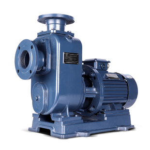 BZ自吸泵ZW无堵塞污水泵排污泵卧式管道离心泵大流量增压380V三相