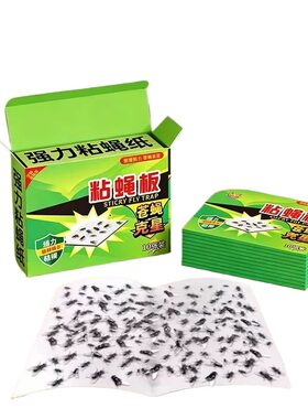苍蝇贴强力粘蝇纸自带诱饵粘蝇板