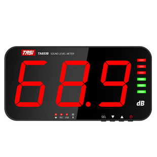 特安斯TA653A/654B挂壁式噪音计分贝仪大屏高精度噪音测试带探头