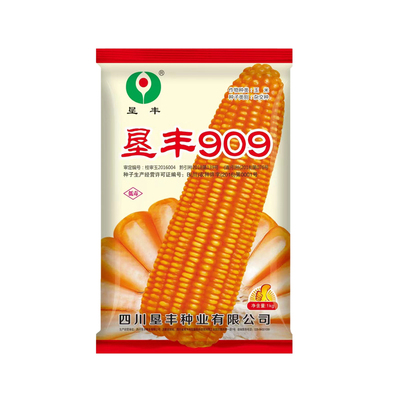 矮杆大棒硬粒玉米种子垦丰909抗锈病包谷种子籽粒黄色半硬粒型
