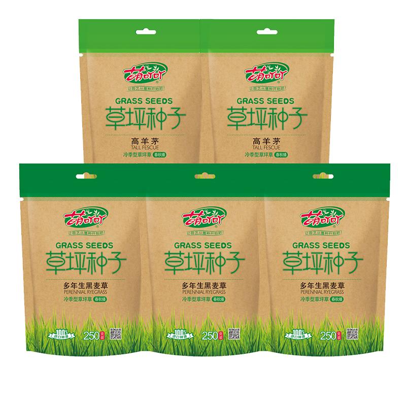 虹越萌吖吖进口草坪草籽子黑麦草种子多年生混播草皮全国适种庭院