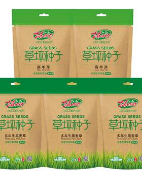 虹越进口草坪草籽子四季播种易活