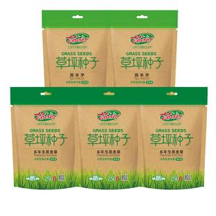 虹越萌吖吖进口草坪草籽子黑麦草种子多年生混播草皮全国适种庭院