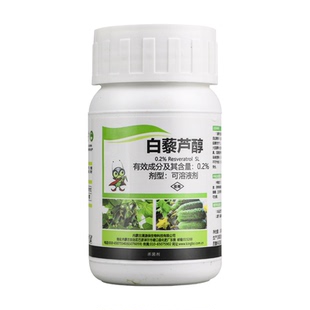 0.2%白藜芦醇可溶液剂黄瓜灰霉病生物农药杀菌剂