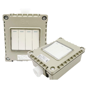 防爆开关墙壁翘板式明暗装86型220v单双开工业照明隔爆型开关10A