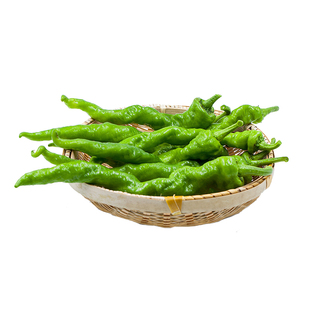 有机螺丝椒新鲜山东薄皮青辣椒绿尖椒皱皮螺旋辣椒健康无农残蔬菜