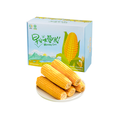 25年新玉米麦秀年大苞米东北特产黄糯玉米黏糯粗粮礼盒装新鲜早餐