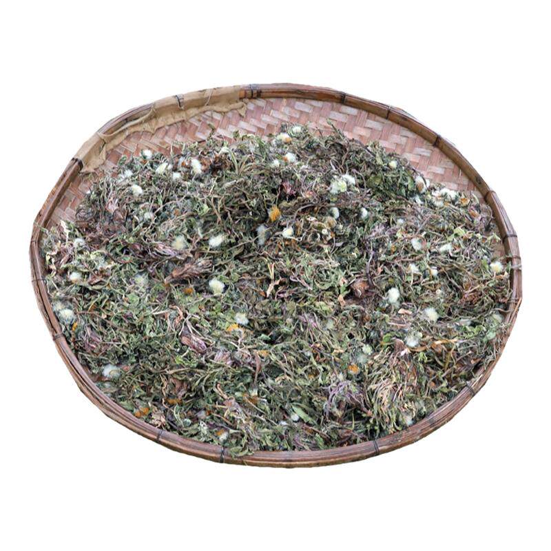 蒲公英深山正品药材干货农家自晒
